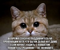  во время секса не поддавайтесь на провокации кота.что бы ни делал кот,даже если начнет ходить с плакатом "покайтесь,грешники!"– не хихикайте