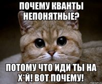 почему кванты непонятные? потому что иди ты на х*й! вот почему!