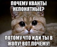 почему кванты непонятные? потому что иди ты в жопу! вот почему!