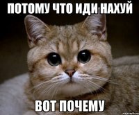 потому что иди нахуй вот почему