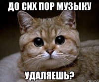 до сих пор музыку удаляешь?