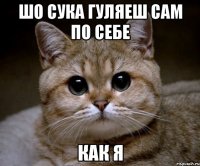 шо сука гуляеш сам по себе как я