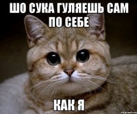 шо сука гуляешь сам по себе как я