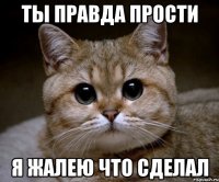 ты правда прости я жалею что сделал