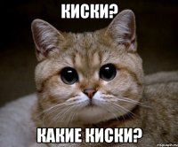 киски? какие киски?