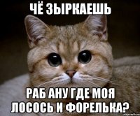 чё зыркаешь раб ану где моя лосось и форелька?