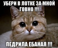 убери в лотке за мной говно !!! педрила ебаная !!!