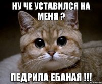 ну че уставился на меня ? педрила ебаная !!!