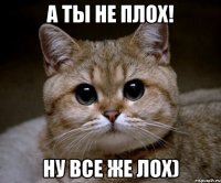 а ты не плох! ну все же лох)