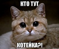 кто тут котейка?!