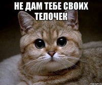 не дам тебе своих телочек 