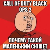 call of duty black ops 2 почему такой маленький сюжет