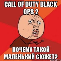 call of duty black ops 2 почему такой маленький сюжет?