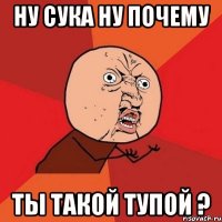 ну сука ну почему ты такой тупой ?