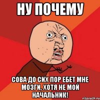 ну почему сова до сих пор ебет мне мозги, хотя не мой начальник!