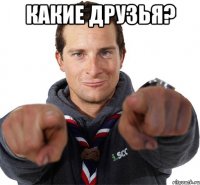 какие друзья? 