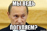 мы ведь погуляем?