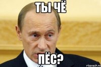 ты чё пёс?