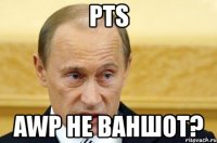 pts awp не ваншот?