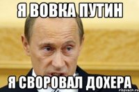 я вовка путин я своровал дохера