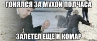 гонялся за мухой полчаса залетел еще и комар