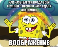 как называется,когда всей группой с первого раза сдали анатомию воображение