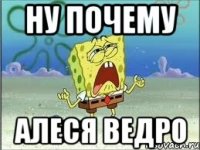 ну почему алеся ведро