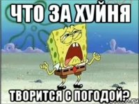 что за хуйня творится с погодой?