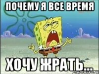 почему я все время хочу жрать...