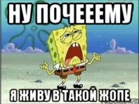 ну почееему я живу в такой жопе