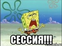  сессия!!!