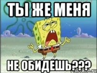 ты же меня не обидешь???