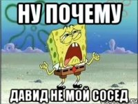 ну почему давид не мой сосед