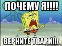 почему я!!! верните твари!!!