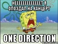 нееееееееееееет я опоздал на канцерт one direction