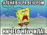 алёна вчера вечером ничего не учила!