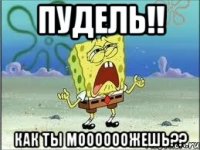 пудель!! как ты моооооожешь??