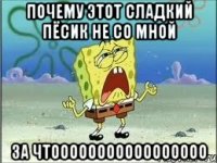 почему этот сладкий пёсик не со мной за чтооооооооооооооооо