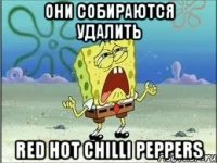 они собираются удалить red hot chilli peppers