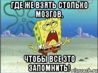 где же взять столько мозгов, чтобы все это запомнить!