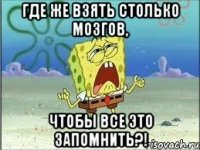 где же взять столько мозгов, чтобы все это запомнить?!