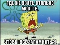 где же взять столько мозгов, чтобы всё запомнить?!