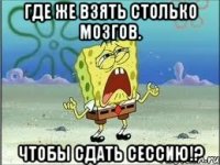 где же взять столько мозгов. чтобы сдать сессию!?