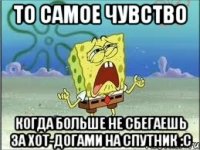 то самое чувство когда больше не сбегаешь за хот-догами на спутник :с