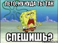 лето, ну куда ты так спешишь?