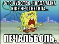 о то чувство, когда alina nike не ответила... печальболь.