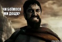 Чи боїмося ми дощу?