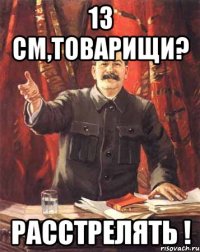 13 см,товарищи? расстрелять !