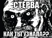 стерва как ты узнала??