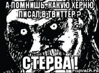 а помнишь, какую херню писал в твиттер ? стерва !